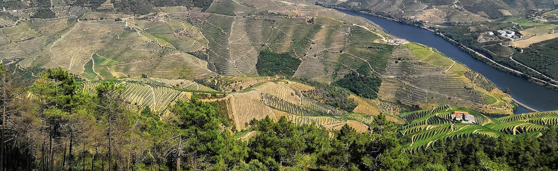 Vila Real — Panorama