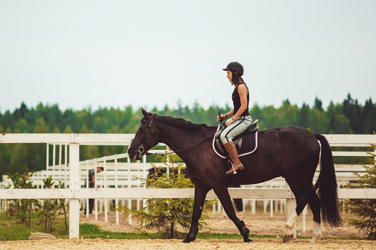 Horse ride — photo 2