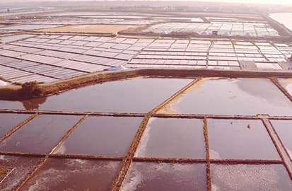 Salt Pans of Aveiro
