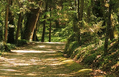 Fontelo Park