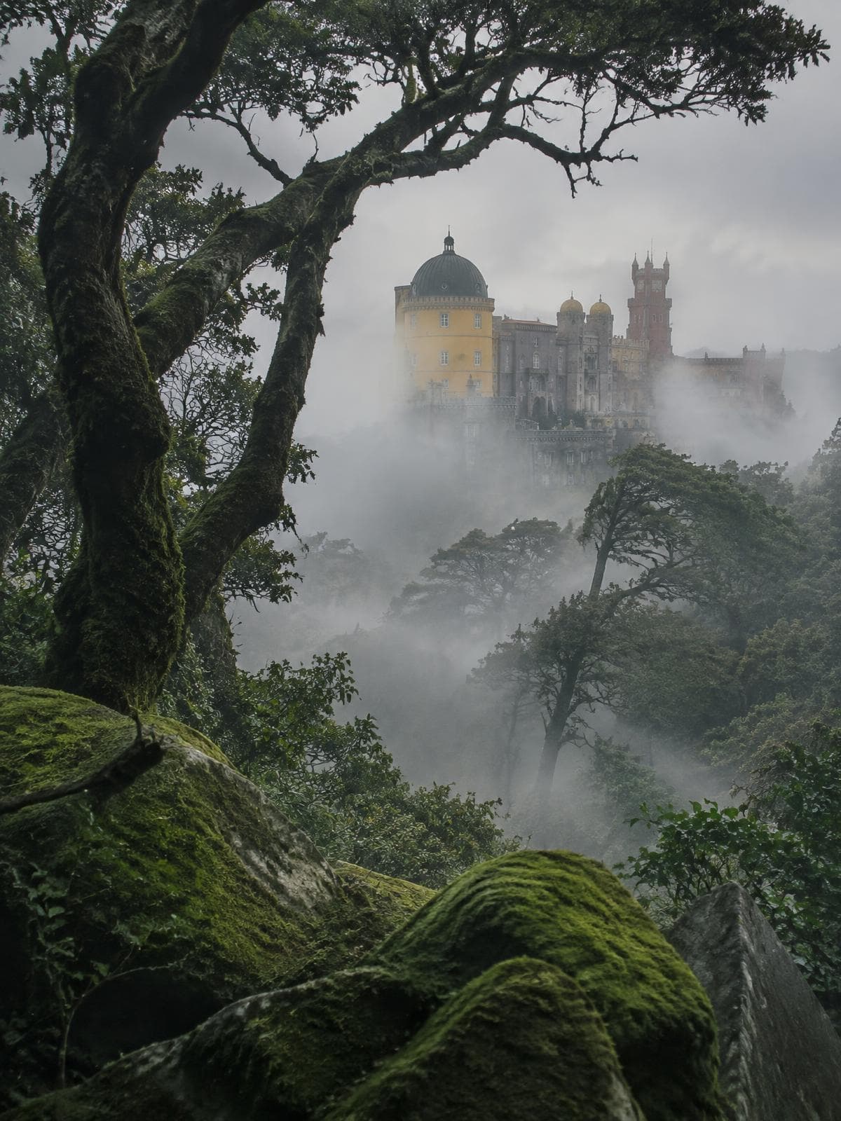 Palácio de Sintra entre neblina e floresta