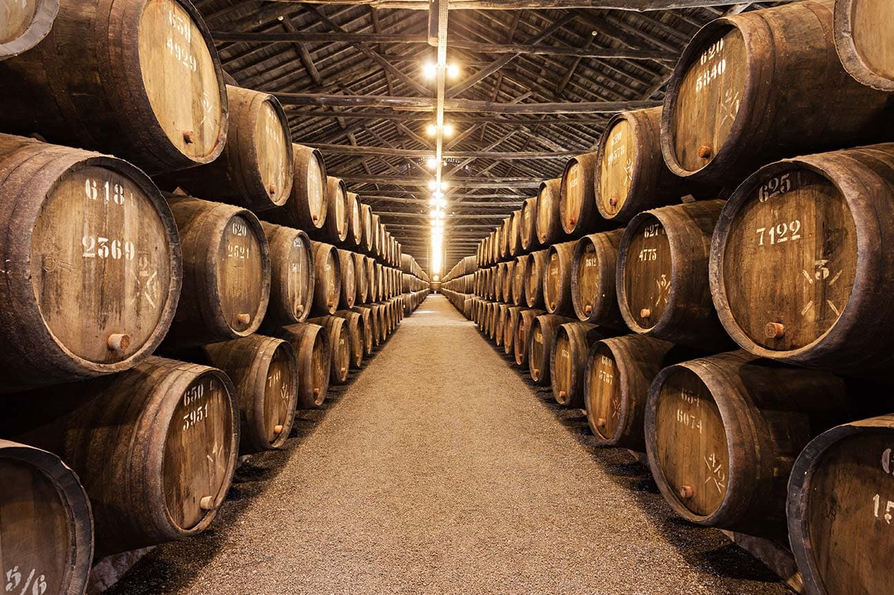 Row of barrels in a wine cellar