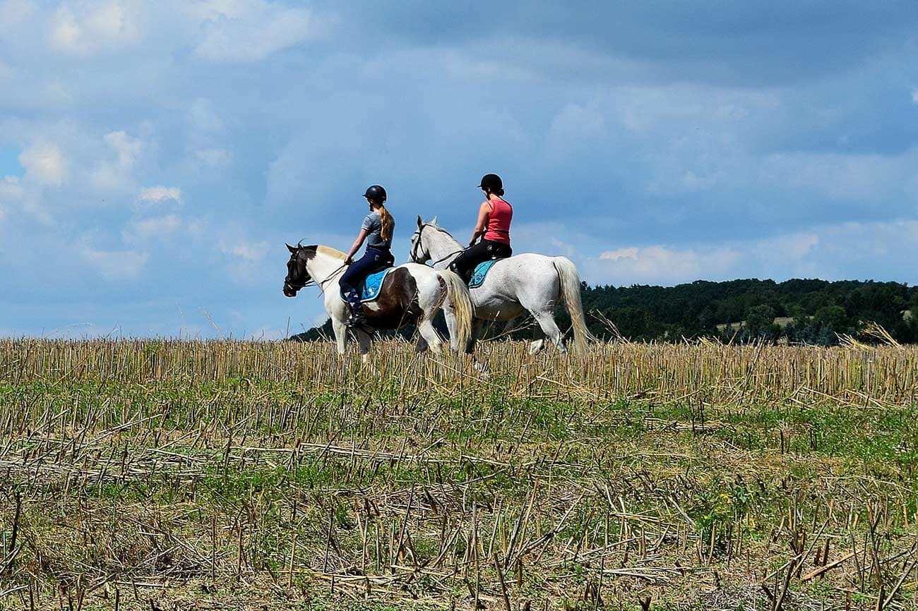Horse ride — photo 3